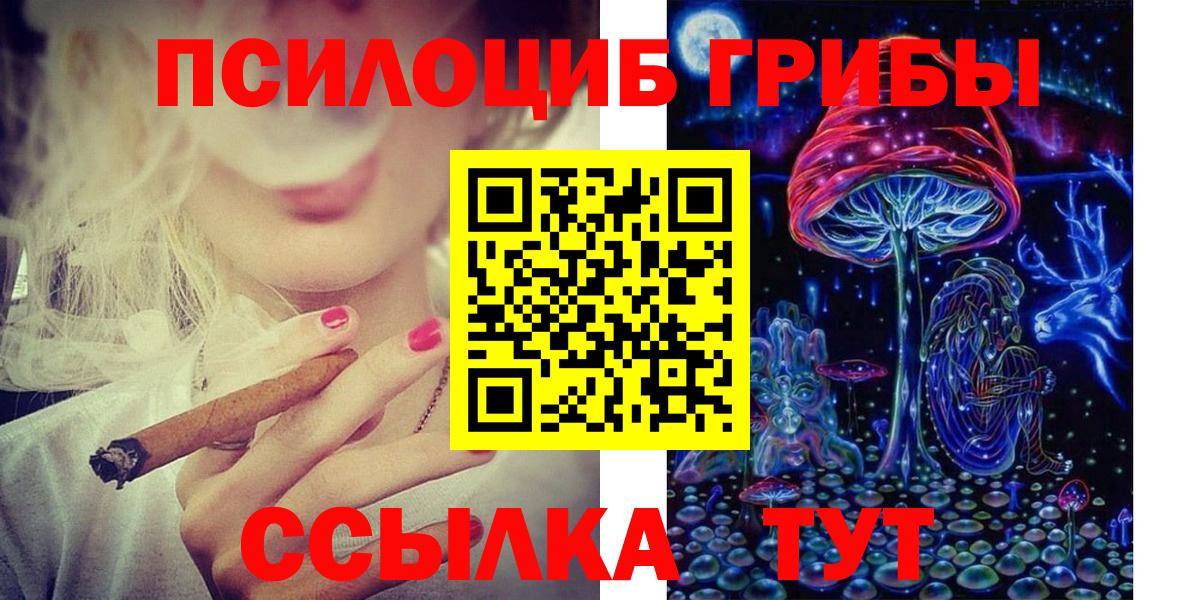 Псилоцибиновые грибы Cubensis Усть-Джегута